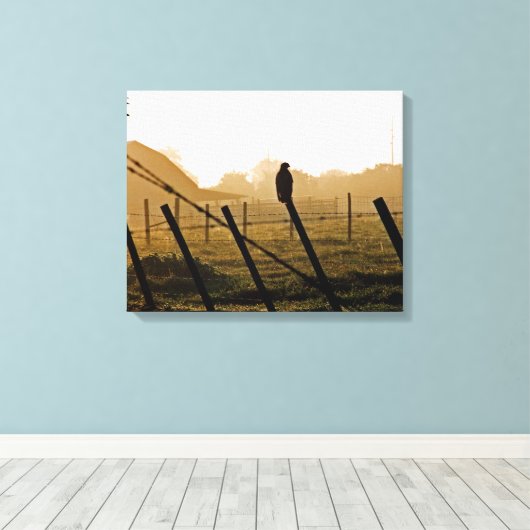 Roodstaart havik in de ochtend canvas afdruk (Insitu (Houten vloer))