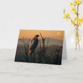 Roodstaart Hawk 5x7 Wenskaart Kaart (Gele Bloem)