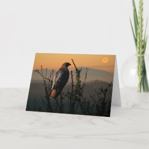 Roodstaart Hawk 5x7 Wenskaart Kaart