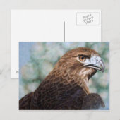 Roodstaart Hawk-luchtborstel Briefkaart (Voorkant / Achterkant)