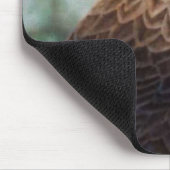 Roodstaart Hawk-luchtborstel Muismat (Hoek)