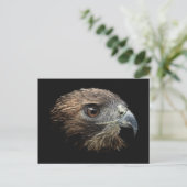 Roodstaart Hawk pastel Briefkaart (Staand voorkant)