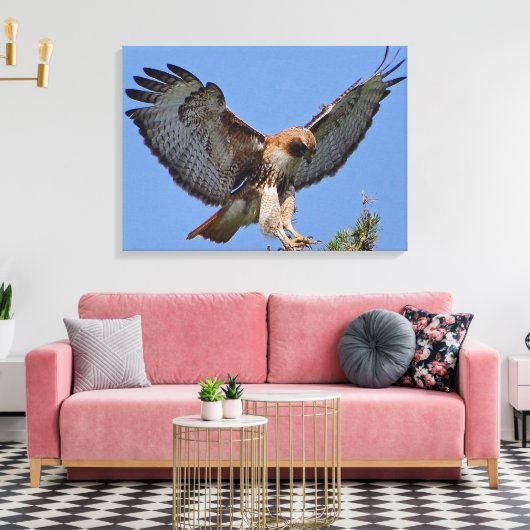 Roodstaart Hawk Soft Landing Stretch Canvas Print (Insitu (Woonkamer))