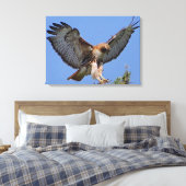 Roodstaart Hawk Soft Landing Stretch Canvas Print (Insitu (Slaapkamer))