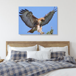 Roodstaart Hawk Soft Landing Stretch Canvas Print