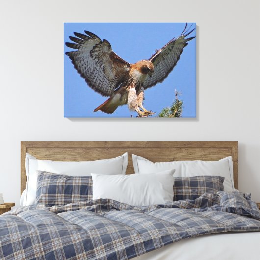 Roodstaart Hawk Soft Landing Stretch Canvas Print (Insitu (Slaapkamer))