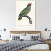 Roodstaartamazone, Amazona Brasiliensis Canvas Afdruk (Insitu (Slaapkamer))