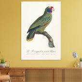 Roodstaartamazone, Amazona Brasiliensis Canvas Afdruk (Insitu (Woonkamer))