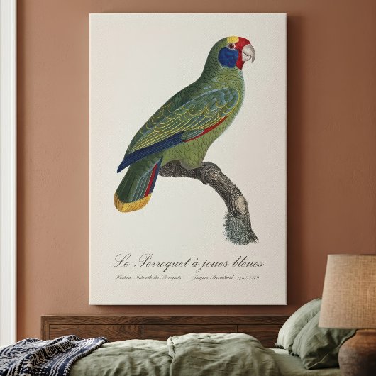 Roodstaartamazone, Amazona Brasiliensis Canvas Afdruk