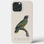 Roodstaartamazone, Amazona Brasiliensis Case-Mate iPhone Case (Achterkant)