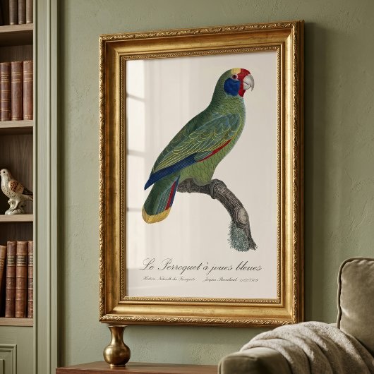 Roodstaartamazone, Amazona Brasiliensis Foto Afdruk