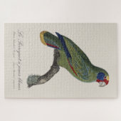 Roodstaartamazone, Amazona Brasiliensis Legpuzzel (Horizontaal)