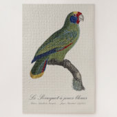 Roodstaartamazone, Amazona Brasiliensis Legpuzzel (Verticaal)