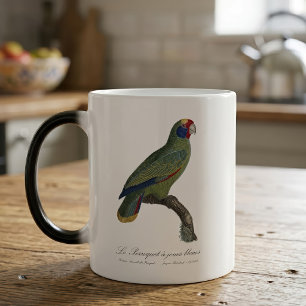 Roodstaartamazone, Amazona Brasiliensis Magische Mok