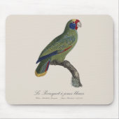 Roodstaartamazone, Amazona Brasiliensis Muismat (Voorkant)
