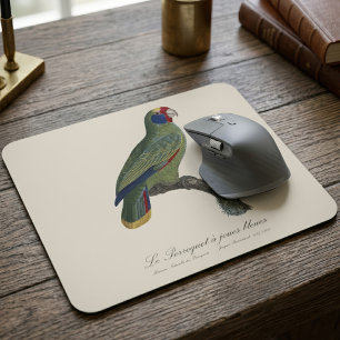 Roodstaartamazone, Amazona Brasiliensis Muismat