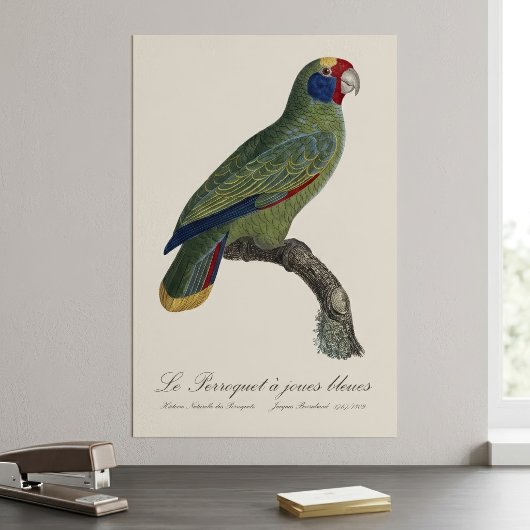 Roodstaartamazone, Amazona Brasiliensis Poster
