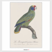 Roodstaartamazone, Amazona Brasiliensis Sticker (Vel)