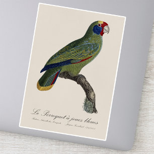 Roodstaartamazone, Amazona Brasiliensis Sticker