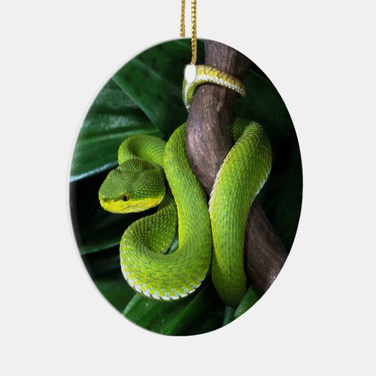 Roodstaartbamboeviper Keramisch Ornament (Rechts)