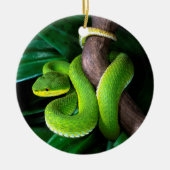 Roodstaartbamboeviper Keramisch Ornament (Voorkant)