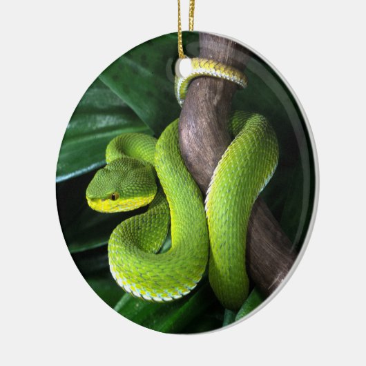 Roodstaartbamboeviper Keramisch Ornament (Links)