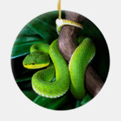 Roodstaartbamboeviper Keramisch Ornament (Achterkant)