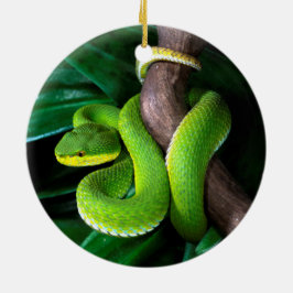 Roodstaartbamboeviper Keramisch Ornament