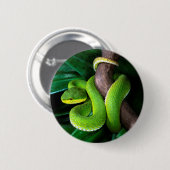 Roodstaartbamboeviper Ronde Button 5,7 Cm (Voorkant /achterkant)
