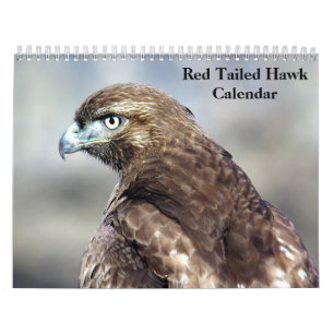 Roodstaartbuizerd 2027 kalender