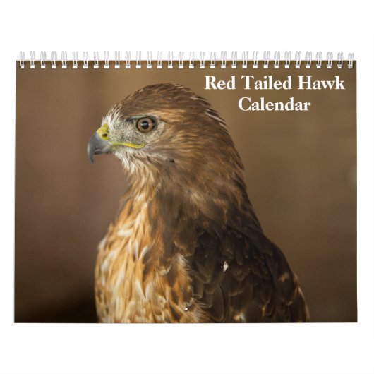 Roodstaartbuizerd 2027 kalender (Hoes)