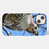 Roodstaartbuizerd, Apple iPhone 13 hoesje (Achterkant horizontaal)