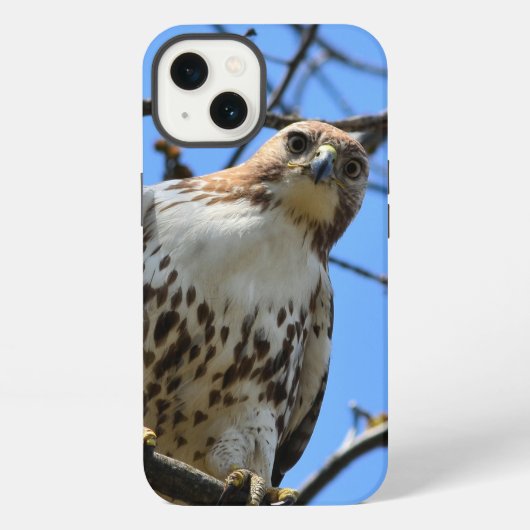 Roodstaartbuizerd, Apple iPhone 13 hoesje (Achterkant)