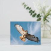 Roodstaartbuizerd Briefkaart (Staand voorkant)