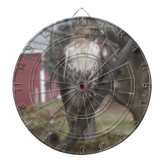 Roodstaartbuizerd Dart Bord Dartbord (Voorkant)