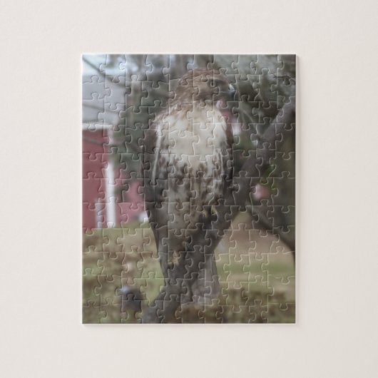 Roodstaartbuizerd in boom legpuzzel (Verticaal)