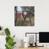 Roodstaartbuizerd in boom poster (Thuiskantoor)
