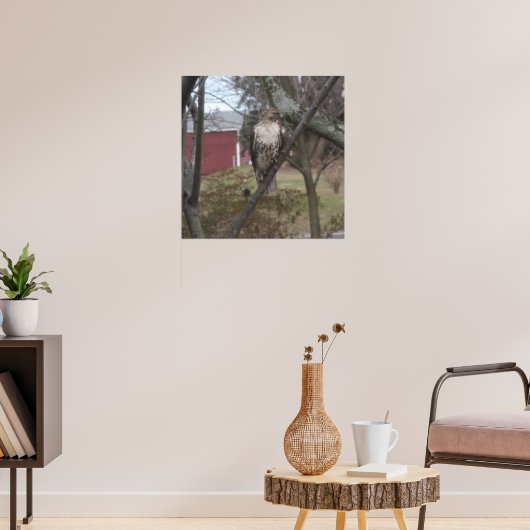 Roodstaartbuizerd in boom poster (Woonkamer 3)