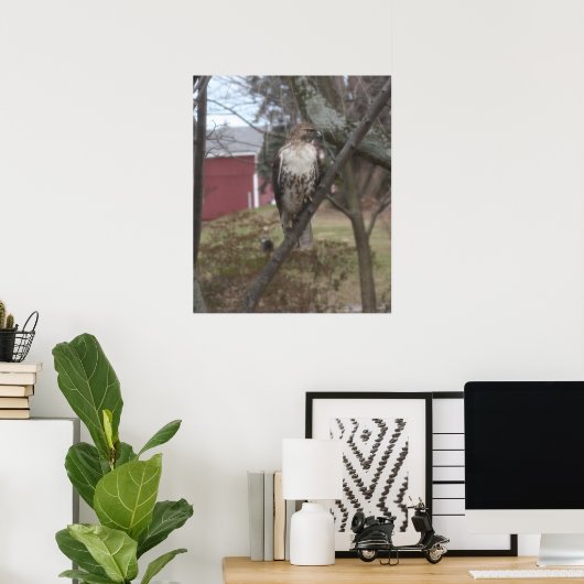 Roodstaartbuizerd in boom poster (Thuiskantoor)