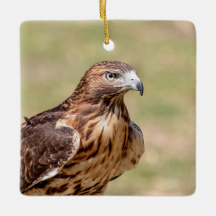Roodstaartbuizerd in de Hudson Valley Keramisch Ornament