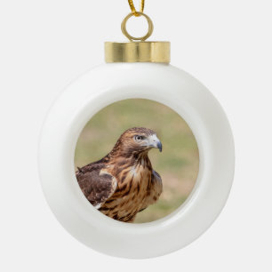 Roodstaartbuizerd in de Hudson Valley Keramische Bal Ornament