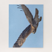 Roodstaartbuizerd in vlucht legpuzzel (Verticaal)