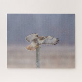 Roodstaartbuizerd in vlucht legpuzzel (Horizontaal)