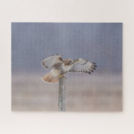 Roodstaartbuizerd in vlucht legpuzzel