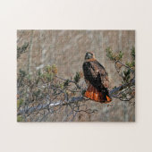 Roodstaartbuizerd Legpuzzel (Horizontaal)