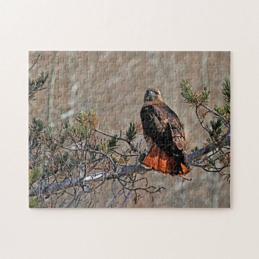 Roodstaartbuizerd Legpuzzel (Horizontaal)