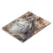 Roodstaartbuizerd Notitieboek (Linkerzijde)