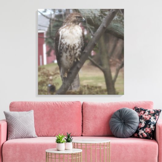Roodstaartbuizerd op tak 60 x 60 cm canvas afdruk (Insitu (Woonkamer))