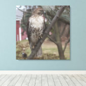 Roodstaartbuizerd op tak 60 x 60 cm canvas afdruk (Insitu (Houten vloer))