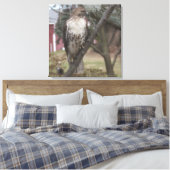 Roodstaartbuizerd op tak 60 x 60 cm canvas afdruk (Insitu (Slaapkamer))